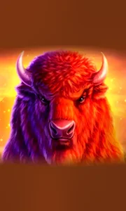 Buffalo 50