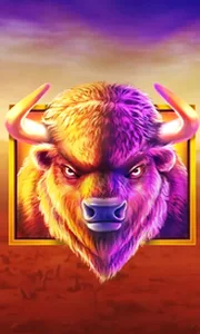 Buffalo King